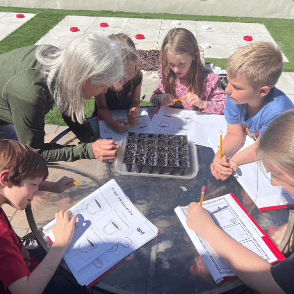 Students observing seedlings during a hands-on Community Schoolhouse lesson.